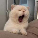 昵称不重要