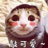小孔呀