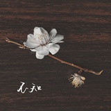 心大嘁嘁