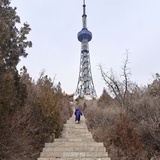 泡麸