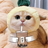 王大可