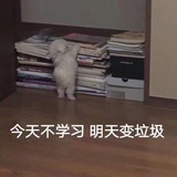 好好学习