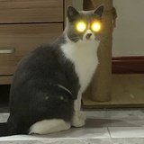 未知