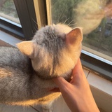 伤心冬眠客