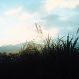 景行