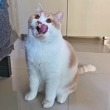 野丫头敏儿