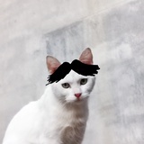 咖啡的爸爸