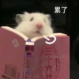吃面吃面
