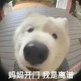 溜溜球玩球