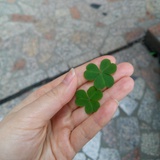 呵