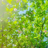 小胖妞日常打卡