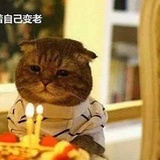 五