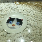 九月花