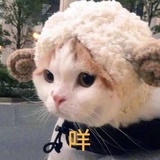 可以举重的小腿