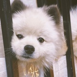 诶嘿