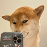清风挽.