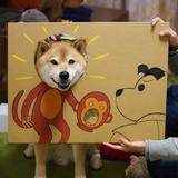 Look！