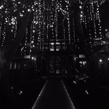 一个偏执的疯子