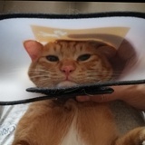 阿J同志