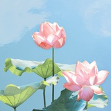 见山