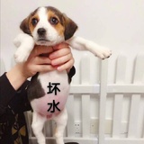 宇宙飞船驾驶员