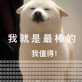 不负好时光