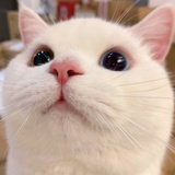 豆友154373046