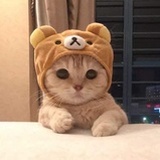 百变可可乐