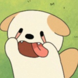 远道有光