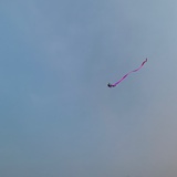 cool Jony