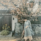 顾槐夏