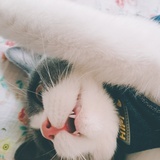 朝夕