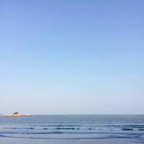 球没丢
