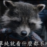 南风掠北不自知
