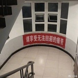 小泥球儿