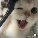 素质向你看齐