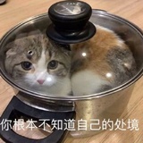 我长头发了ᥬ😉᭄