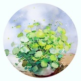 李想想