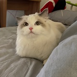 安心