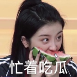 戴王爷²