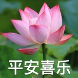 松本