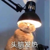 已注销