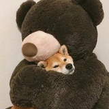 逃离现实的天使