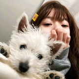 54林檎