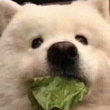 豆友154930652