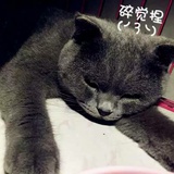 我是李木子同学