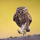 瘦瘦瘦