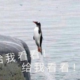 你看你看月亮欸