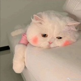 十河