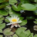 小幸运